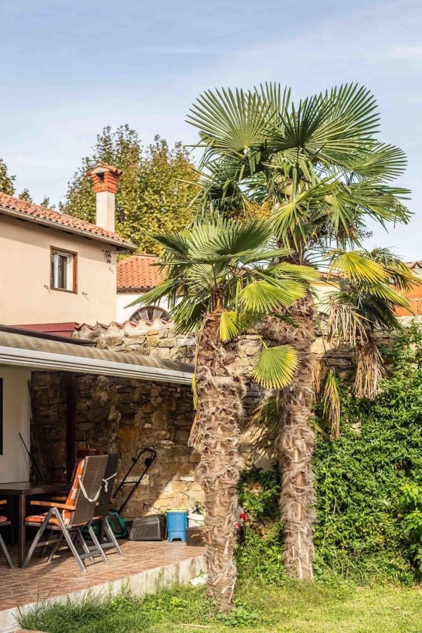Cozy Corner Koper Exterior foto